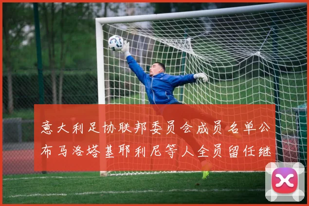 意大利足协联邦委员会成员名单公布马洛塔基耶利尼等人全员留任继续服务