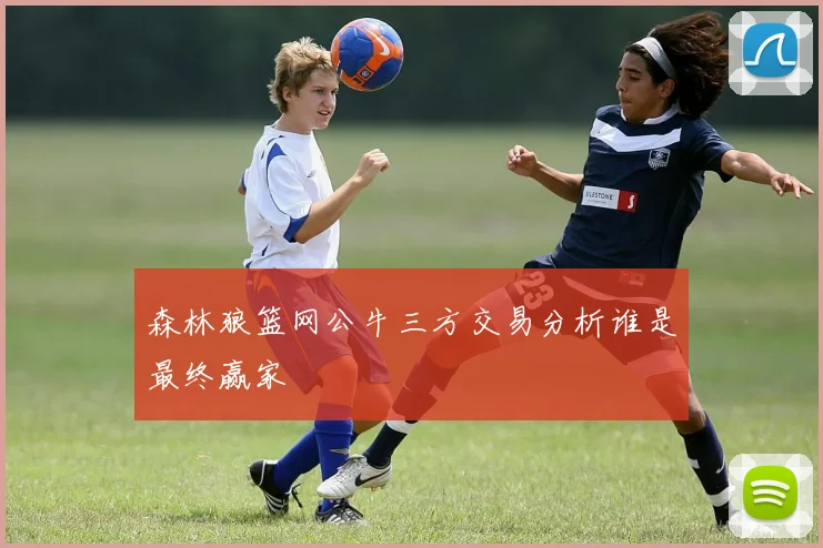 森林狼篮网公牛三方交易分析谁是最终赢家